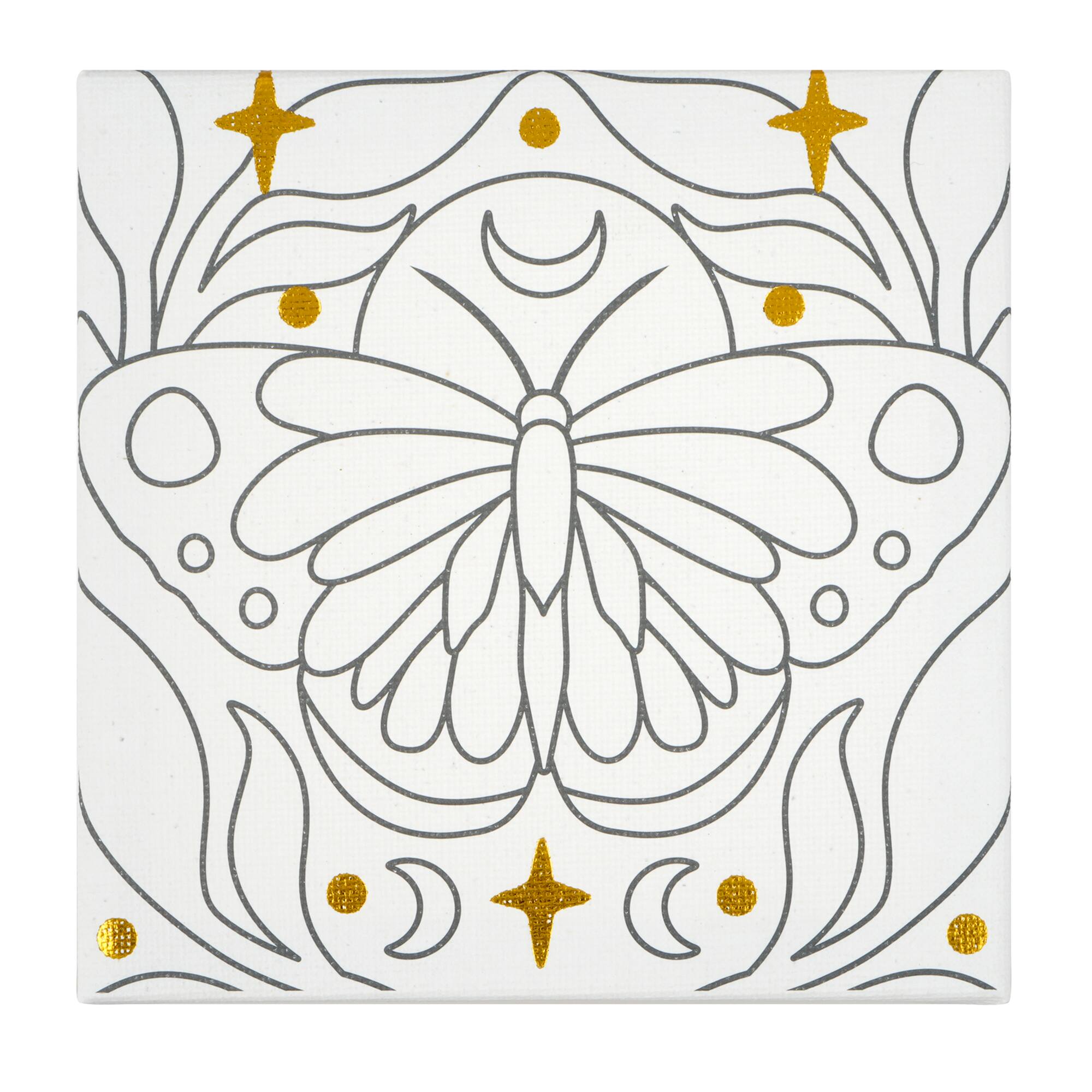 Mini Spring Moth Canvas Painting Kit by Craft Smart®